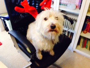 Marita's dog, Buster